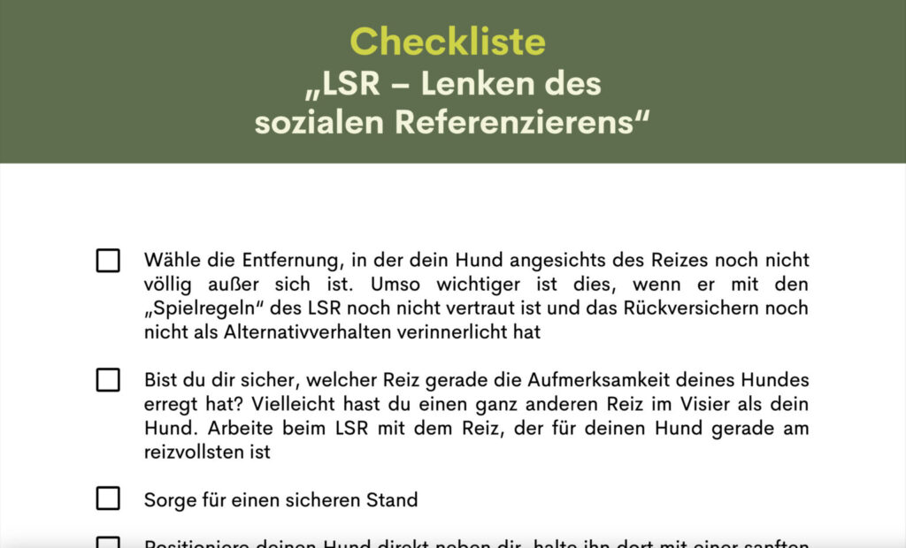 Checkliste Mirjam Cordt