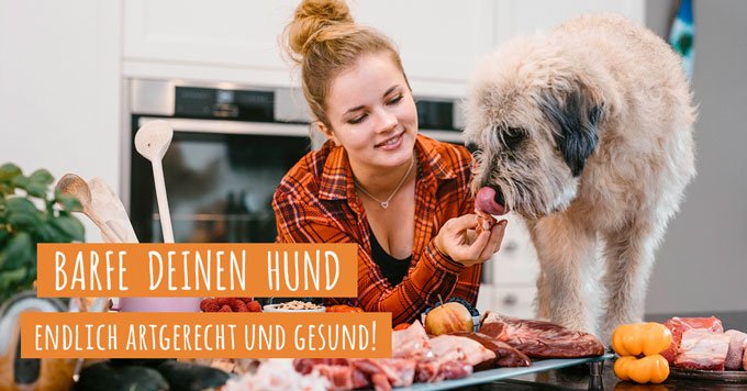 barf kurs dogtisch erfahrungen