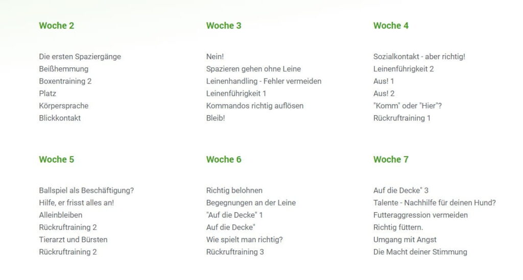 Lerninhalte Welpenschule Löwenstein