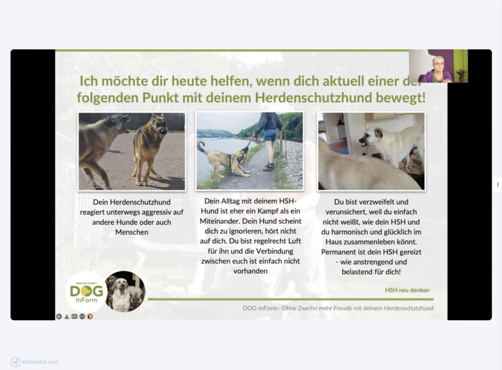 Dies ist ein Screenshot des Live-Webinars von Mirjam Cordt