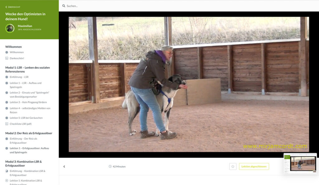 Mirjam Cordt übt mit Cachi den Reiz als Erfolgsauslöser