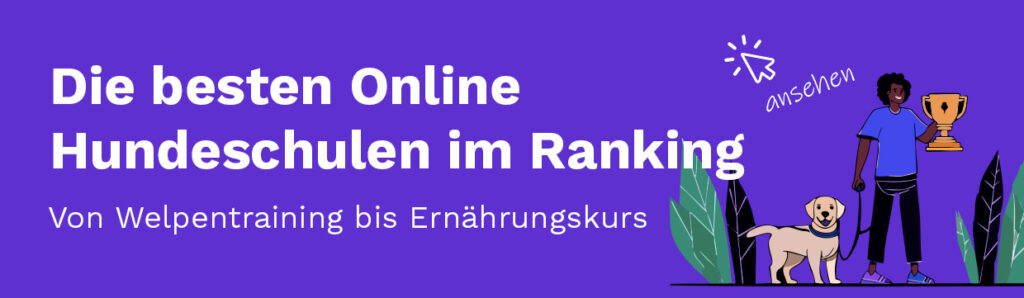 Was ist die beste Online Hundeschule